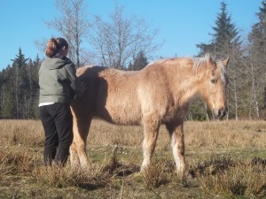 Thunder getting his scratching.